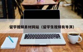 安徽留学视频素材网站（留学生视频有导演）