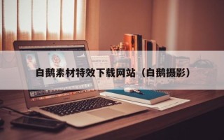 安徽白鹅素材特效下载网站（白鹅摄影）